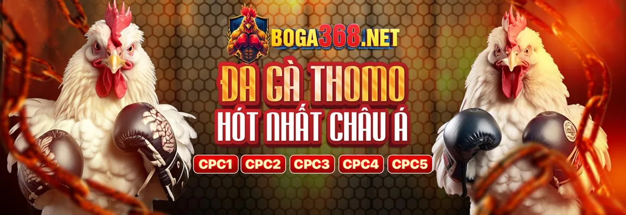 Quản lý tài chính thông minh khi chơi cá cược tại trx789